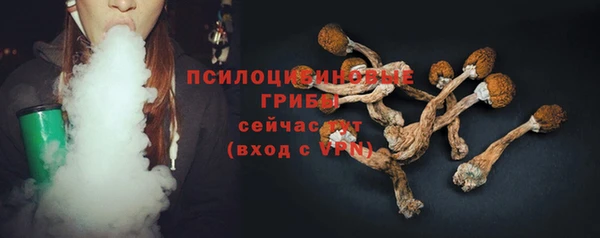 ешки Белокуриха
