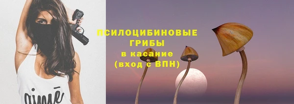 бошки Богородск